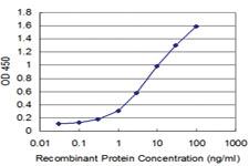 Anti-JAG2 Mouse Monoclonal Antibody [clone: 4C8]