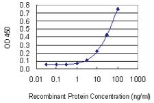 Anti-STX5 Mouse Monoclonal Antibody [clone: 5A6]