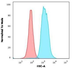 Flow cytometric analysis of Ramos cells using Anti-CD22 Antibody [MYG13] followed by Goat Anti-Mouse IgG (CF&#174; 488) (Blue). Isotype Control (Red)