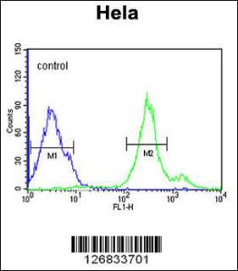 Anti-CYC1 Rabbit Polyclonal Antibody (HRP (Horseradish Peroxidase))