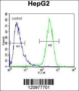 Anti-Hexosaminidase A. Rabbit Polyclonal Antibody (Biotin)