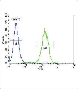 Anti-CYP11B2 Rabbit Polyclonal Antibody (APC (Allophycocyanin))