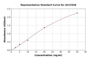 Representative standard curve for mouse Catalase ELISA kit (A313546)