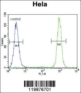 Anti-SSH3 Rabbit Polyclonal Antibody