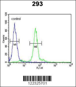 Anti-LOX Rabbit Polyclonal Antibody (PE (Phycoerythrin))