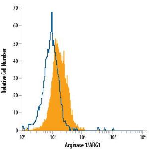 Anti-ARG1 Sheep Polyclonal Antibody (APC (Allophycocyanin))