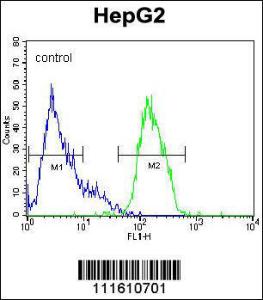 Anti-MAP Kinase 1 Rabbit Polyclonal Antibody