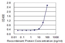 Anti-TNFSF13B Mouse Monoclonal Antibody (Biotin)