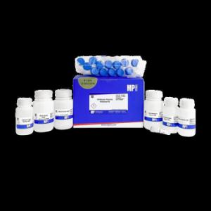 SPINeasy® plasmid midiprep kit, 25 preps