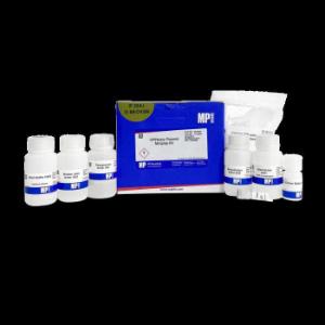 SPINeasy® plasmid miniprep kit, 50 preps