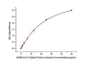 Anti-SARS-CoV-2 Spike Glycoprotein Antibody (A308165) can bind immobilized recombinant SARS-COV-2 S1 + S2 ECD (S-ECD) protein at 1 µg/ml (100 µl/well) with a linear range of 0.78-50ng/ml