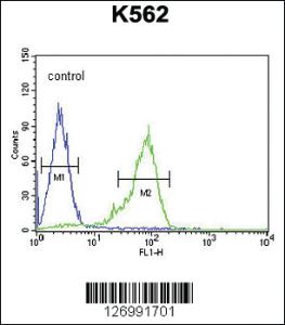 Anti-GCG Rabbit Polyclonal Antibody