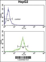 Anti-HLA-B Rabbit Polyclonal Antibody