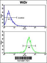 Anti-AXL Rabbit Polyclonal Antibody (Biotin)