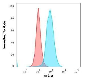 Anti-CD22 antibody