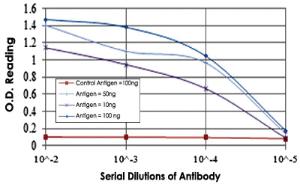 Anti-CEACAM5 Mouse Monoclonal Antibody [clone: 1C7]