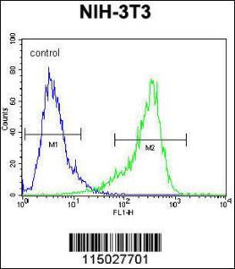 Anti-CYP26A1 Rabbit Polyclonal Antibody