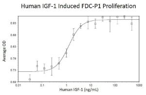 Human recombinant IGF-I (from <i>E. coli</i>)