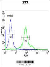 Anti-CYP27B1 Rabbit Polyclonal Antibody