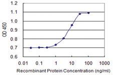 Anti-PXK Mouse Monoclonal Antibody [clone: 4D11]