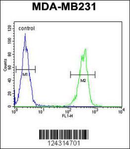 Anti-CYP2A7 Rabbit Polyclonal Antibody (APC (Allophycocyanin))