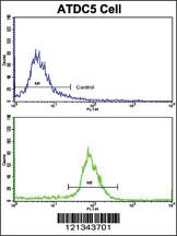 Anti-USP15 Rabbit Polyclonal Antibody