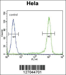 Anti-KLF17 Rabbit Polyclonal Antibody