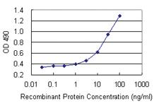 Anti-PNMA2 Mouse Monoclonal Antibody (Biotin)