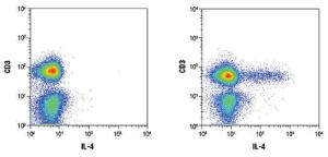 Anti-IL4 Rabbit Monoclonal Antibody [clone: 13G40]