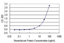 Anti-PNMA2 Mouse Monoclonal Antibody (Biotin)