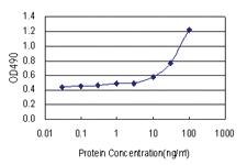 Anti-EPHA2 Antibody Pair