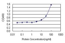 Anti-EPHA2 Polyclonal Antibody Pair