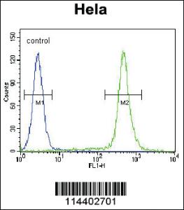 Anti-C18orf8 Rabbit Polyclonal Antibody