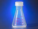 Erlenmeyer flask, with screw cap