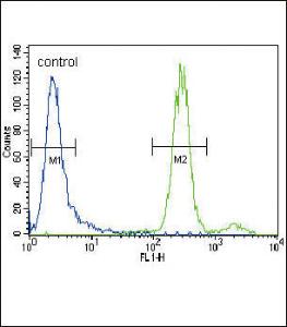 Anti-HGF Rabbit Polyclonal Antibody (AP (Alkaline Phosphatase))