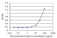 Anti-CCT6B Antibody Pair