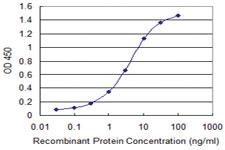 Anti-TMEFF1 Mouse Monoclonal Antibody [clone: 1B1]