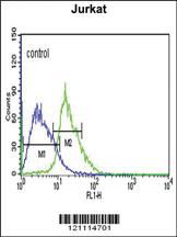 Anti-EHMT2 Rabbit Polyclonal Antibody