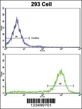 Anti-TRIP10 Rabbit Polyclonal Antibody