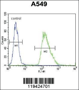 Anti-CMGA Rabbit Polyclonal Antibody