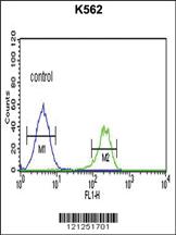 Anti-PMCH Rabbit Polyclonal Antibody