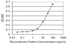 Anti-ZFYVE19 Mouse Monoclonal Antibody [clone: 3G4-2B11]