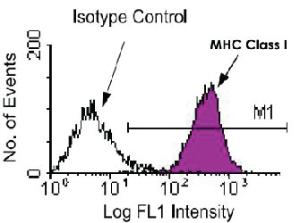 Anti-H2-D2 Mouse Monoclonal Antibody (PE (Phycoerythrin)) [clone: 28-14-8]