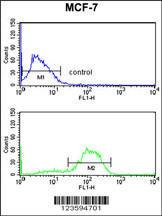 Anti-DAGLB Rabbit Polyclonal Antibody (APC (Allophycocyanin))