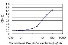 Anti-STXBP1 Mouse Monoclonal Antibody [clone: 6D1]