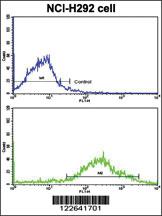 Anti-MLX Rabbit Polyclonal Antibody