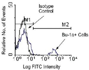 Anti-Bu-1a Mouse Monoclonal Antibody (FITC (Fluorescein isothiocyanate)) [clone: 21-1A4]