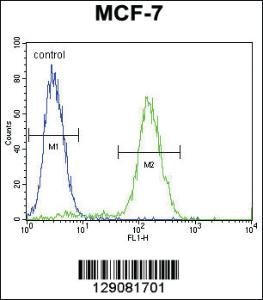 Anti-WDR27 Rabbit Polyclonal Antibody