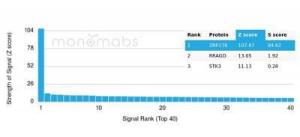 Analysis of protein array containing more than 19,000 full-length human proteins using Anti-ZNF276 Antibody [PCRP-ZNF276-1A5] Z-Score and S- Score