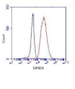 Anti-CHD3 Mouse Monoclonal Antibody [clone: 13k31]